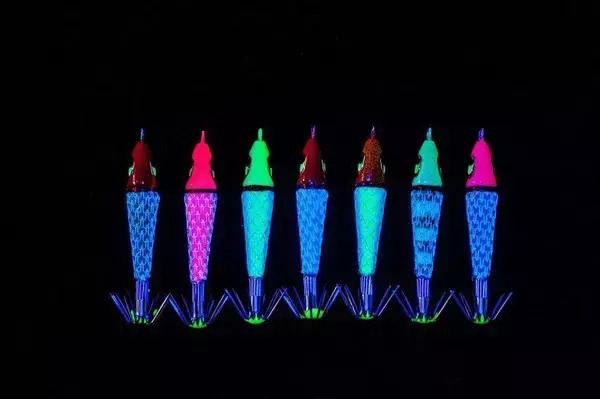 「日本海の剣先イカをイカメタルで楽しむ。大剣が好調な香住沖の剣先イカ。ボトムからの誘い上げで数、型ともに満足の釣果。」の画像