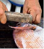 「出張＋おまけ釣行！宮島沖で速潮洗う瀬戸の鯛！」の画像15