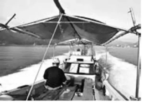 「出張＋おまけ釣行！宮島沖で速潮洗う瀬戸の鯛！」の画像