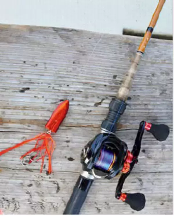 「出張＋おまけ釣行！宮島沖で速潮洗う瀬戸の鯛！」の画像