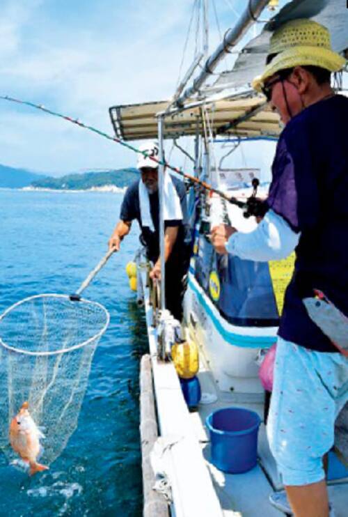 出張＋おまけ釣行！宮島沖で速潮洗う瀬戸の鯛！