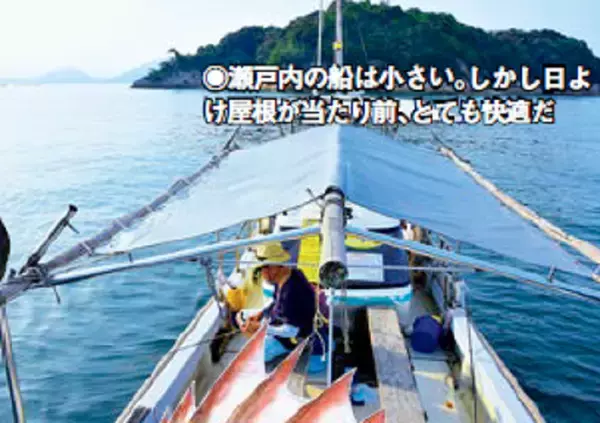 「出張＋おまけ釣行！宮島沖で速潮洗う瀬戸の鯛！」の画像