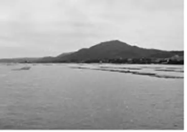 「出張＋おまけ釣行！宮島沖で速潮洗う瀬戸の鯛！」の画像