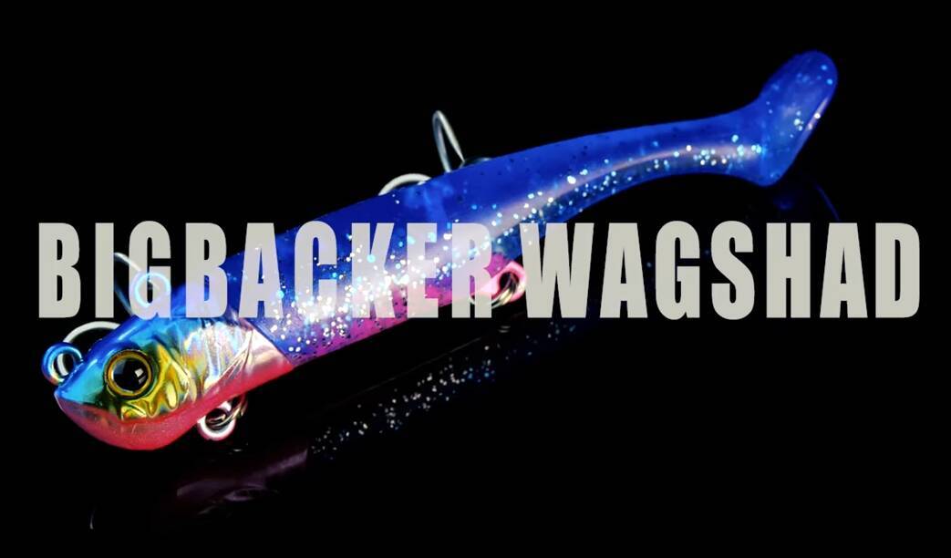 ビッグバッカー ワグシャッドの発売日っていつなの？2021年新登場の万能スイムベイト