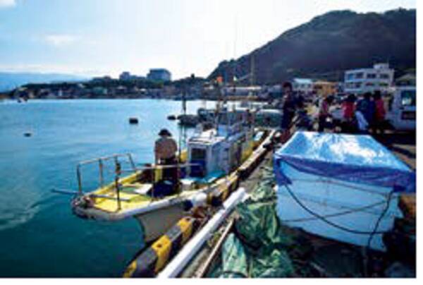 ライトテンヤも楽しい駿河湾沼津の夜タチウオ 21年9月18日 エキサイトニュース