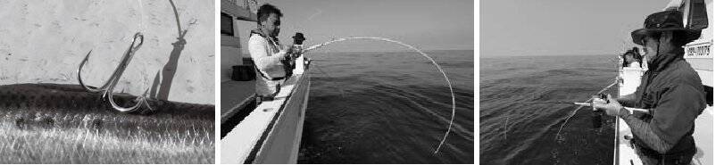 秋めく沖釣り、大型混じりで開幕！太東～大原のヒラメ