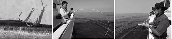 「秋めく沖釣り、大型混じりで開幕！太東～大原のヒラメ」の画像