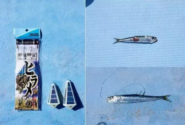 「秋めく沖釣り、大型混じりで開幕！太東～大原のヒラメ」の画像