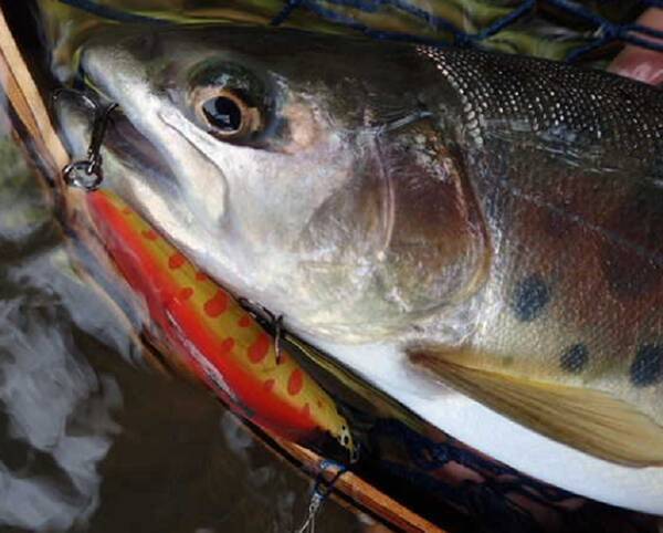 神奈川県の釣り堀 管理釣り場特集 うらたんざわ渓流釣場へ行ってみよう 21年10月3日 エキサイトニュース