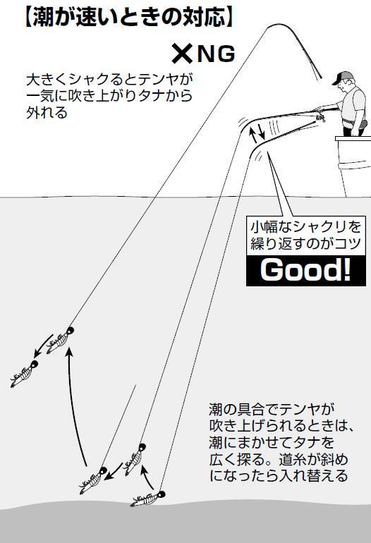 宮本英彦のガチンコ 一つテンヤ巌流島 21年10月16日 エキサイトニュース 5 7