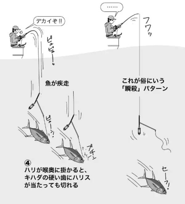 「ラストチャンスをモノにする！キハダ必釣Q＆A/激闘！」の画像