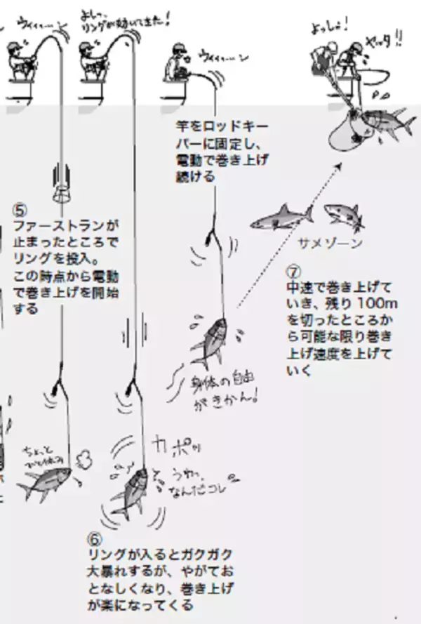 「【青物のツボ～キハダ＆カツオ編～】即合わせは苦手・・・とお困りのあなたへ！ゆる～く仕留める！？キハダ考察」の画像