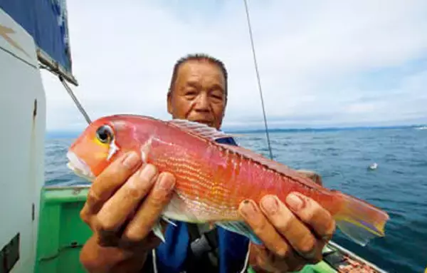 「誘わない釣りが吉？！ベタナギの相模湾でアマダイの不思議に悶絶」の画像