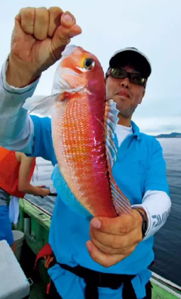 「誘わない釣りが吉？！ベタナギの相模湾でアマダイの不思議に悶絶」の画像