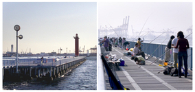公園に隣接した横浜・大黒海釣り施設でさまざまな魚を釣り上げたい！