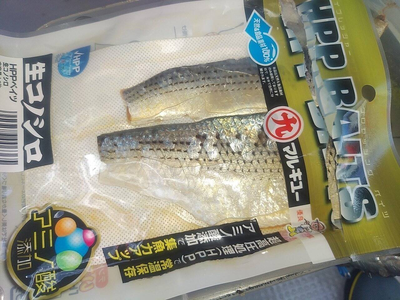 大阪湾の太刀魚テンヤ21 フグの大量発生には仕掛けやエサで対策しよう 21年10月26日 エキサイトニュース 4 4