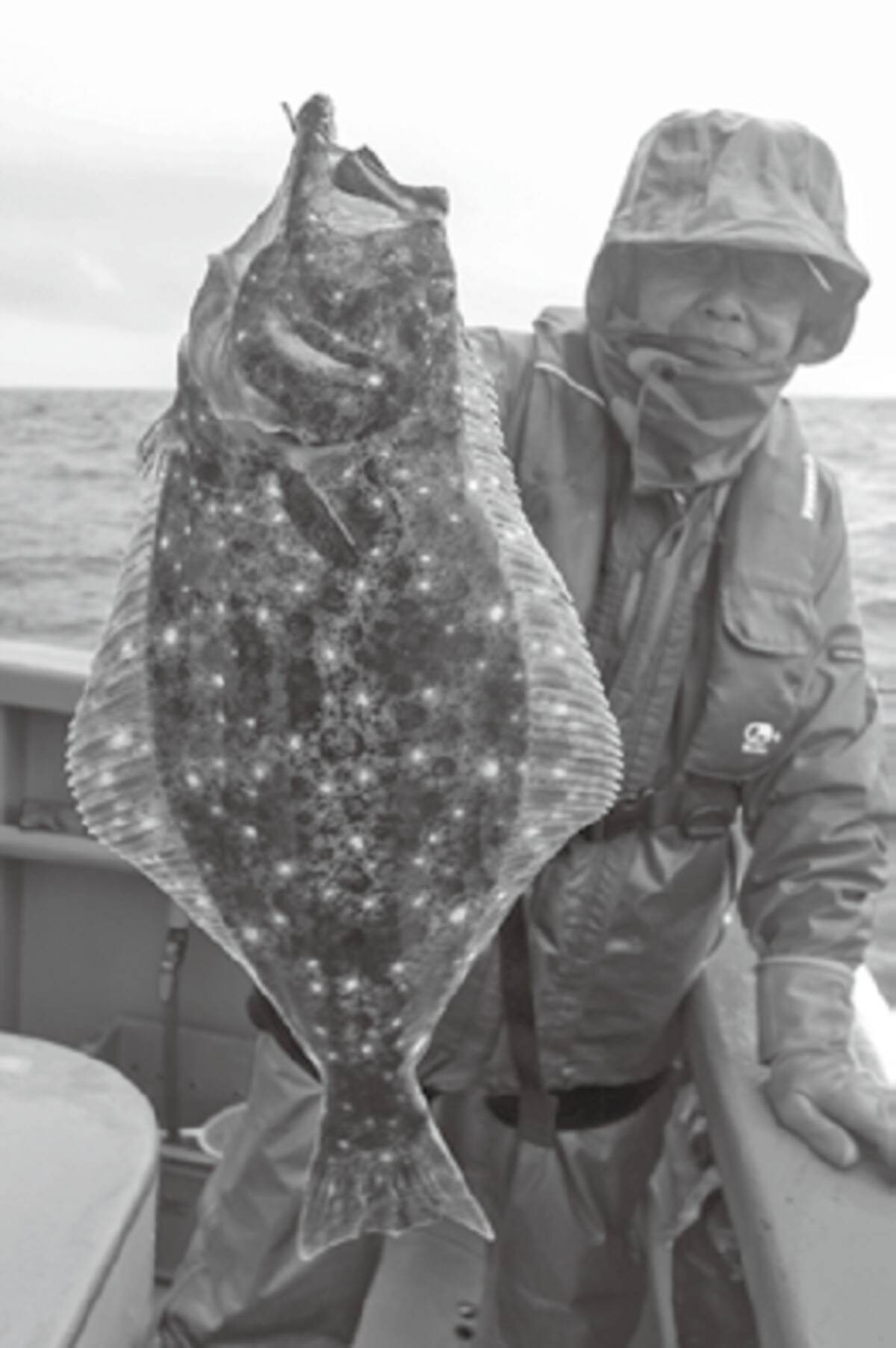 秋色三選 ヒラメ 21年11月1日 エキサイトニュース