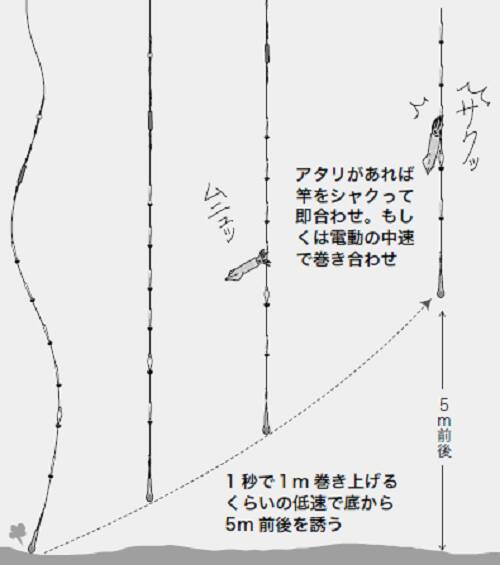 秋色三選 ヤリイカ 21年11月3日 エキサイトニュース 3 4