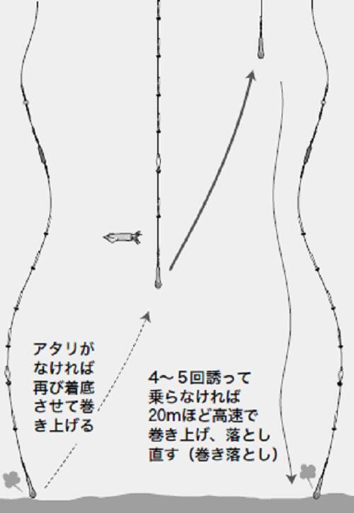 秋色三選 ヤリイカ 21年11月3日 エキサイトニュース 3 4