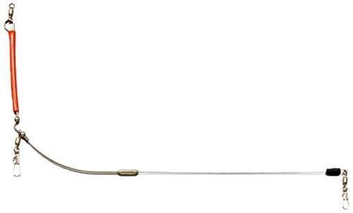 デカッ！評判どおり良型ぞろい！金谷の「金アジ」浅場で狙い目