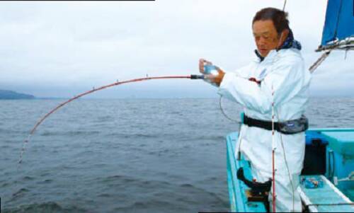 デカッ！評判どおり良型ぞろい！金谷の「金アジ」浅場で狙い目