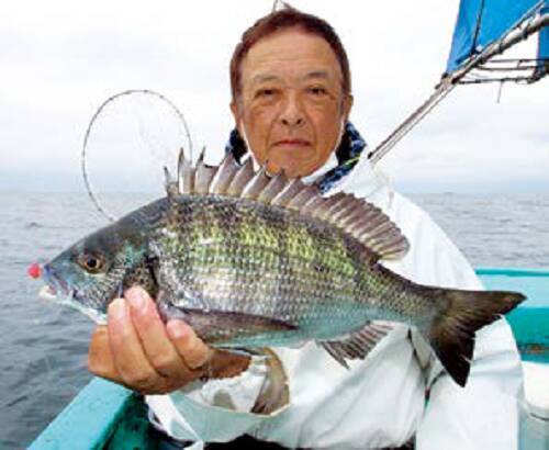 デカッ！評判どおり良型ぞろい！金谷の「金アジ」浅場で狙い目