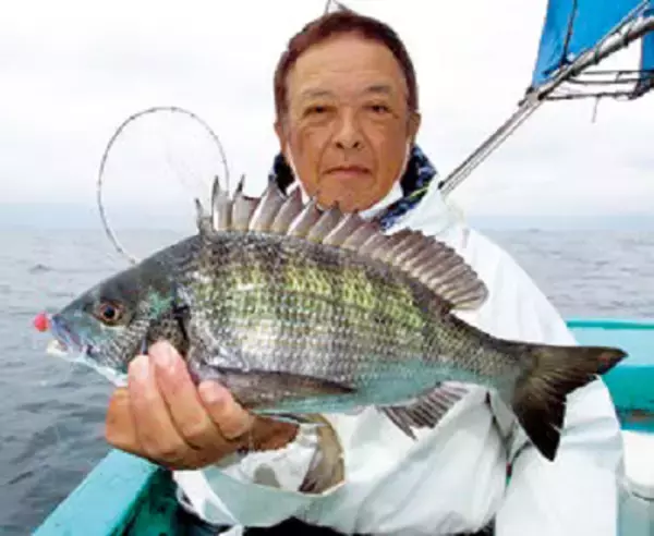 「デカッ！評判どおり良型ぞろい！金谷の「金アジ」浅場で狙い目」の画像