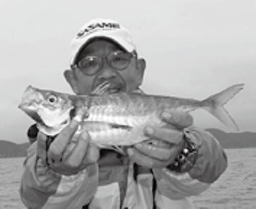 デカッ！評判どおり良型ぞろい！金谷の「金アジ」浅場で狙い目