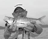 「デカッ！評判どおり良型ぞろい！金谷の「金アジ」浅場で狙い目」の画像2