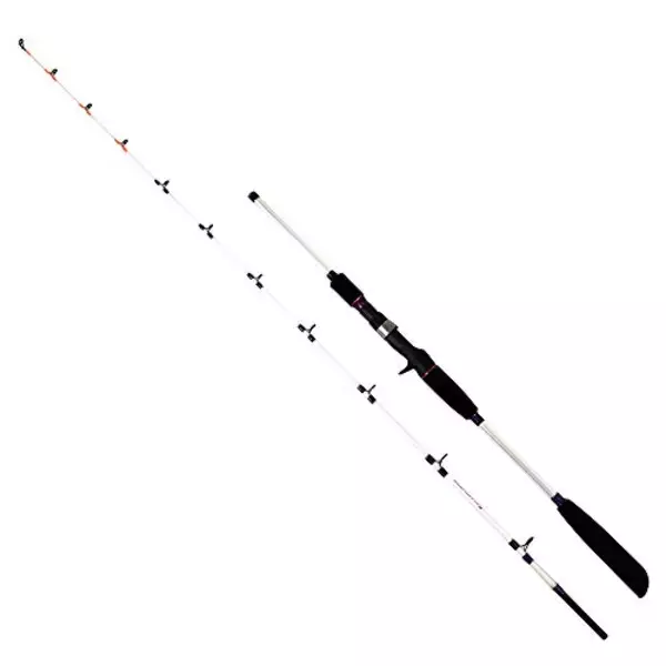 「デカッ！評判どおり良型ぞろい！金谷の「金アジ」浅場で狙い目」の画像