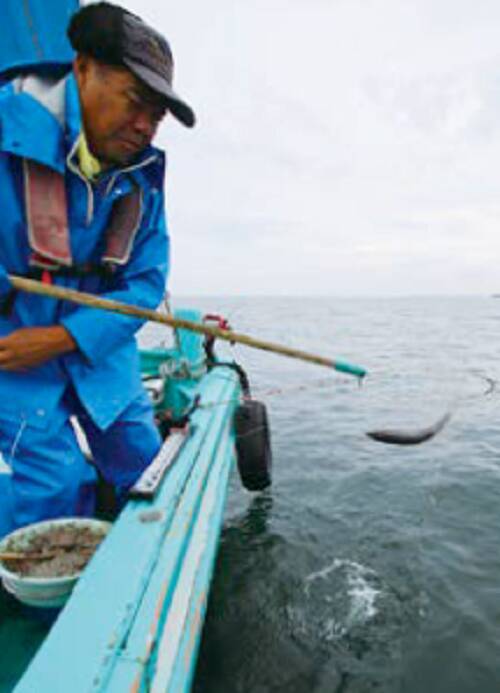 デカッ！評判どおり良型ぞろい！金谷の「金アジ」浅場で狙い目