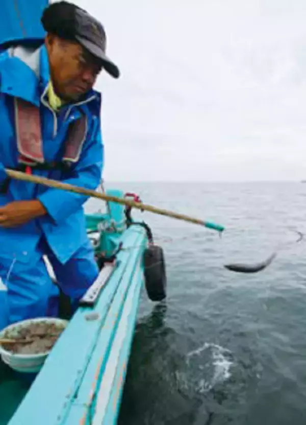 「デカッ！評判どおり良型ぞろい！金谷の「金アジ」浅場で狙い目」の画像