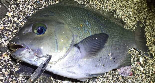 J7nrvm8juhoilm J7nrvm8juhoilm