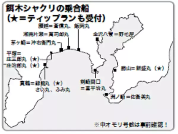 「【秋の餌木あそび】中オモリ式のアオリイカ」の画像