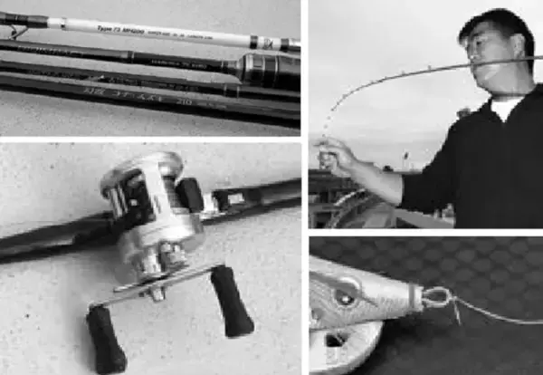 「【秋の餌木あそび】餌木スミイカ」の画像