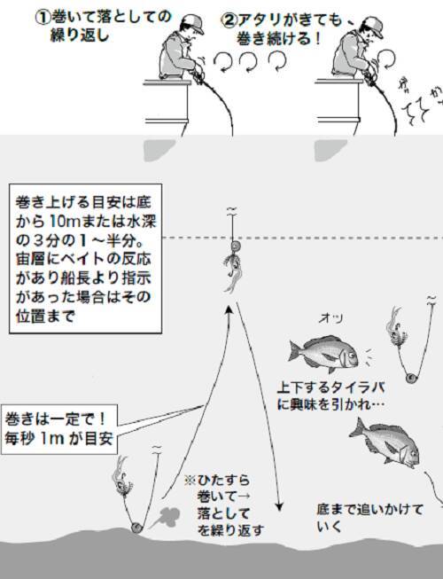 【実りの秋鯛】タイラバ～簡単、シンプル、面白い！～