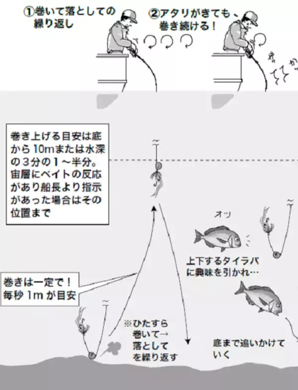 「【実りの秋鯛】タイラバ～簡単、シンプル、面白い！～」の画像