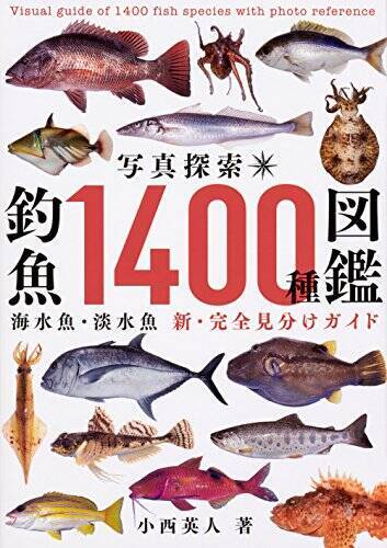 オヒョウの生態に迫る 全長4m超え 100年以上生きる魚って本当 21年12月9日 エキサイトニュース オヒョウの生態に迫る 全長4m超え 100年以上生きる魚って本当 21年12月9日 エキサイトニュース