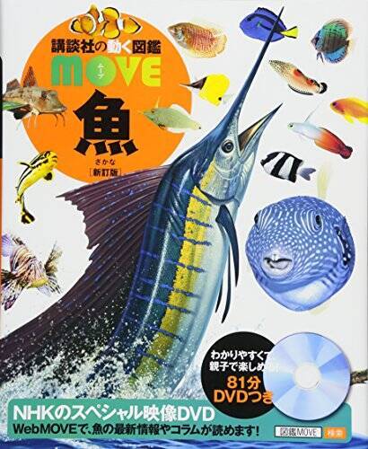 オヒョウの生態に迫る 全長4m超え 100年以上生きる魚って本当 21年12月9日 エキサイトニュース オヒョウの生態に迫る 全長4m超え 100年以上生きる魚って本当 21年12月9日 エキサイトニュース