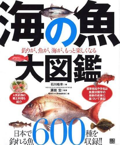 オヒョウの生態に迫る 全長4m超え 100年以上生きる魚って本当 21年12月9日 エキサイトニュース オヒョウの生態に迫る 全長4m超え 100年以上生きる魚って本当 21年12月9日 エキサイトニュース