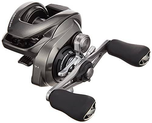 バス釣りでハートテール使ってる？投げやすくてよく釣れるシャッドテール系ワーム