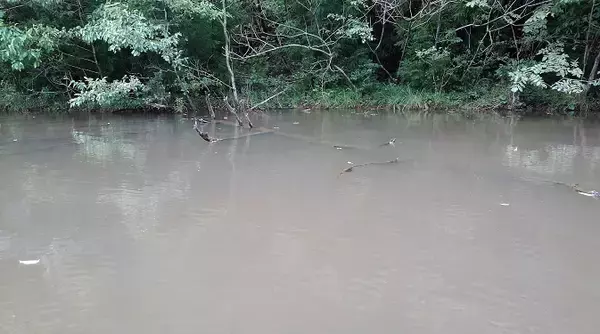 釣りをしていて急に雨が降ってきたらどうすればいいの？雨の日対処法