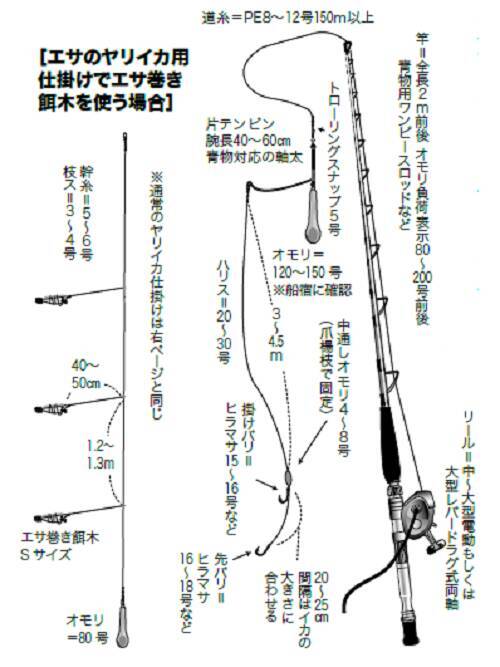 どこに行けば釣れる 泳がせ釣りのブリ 21年12月16日 エキサイトニュース 5 6