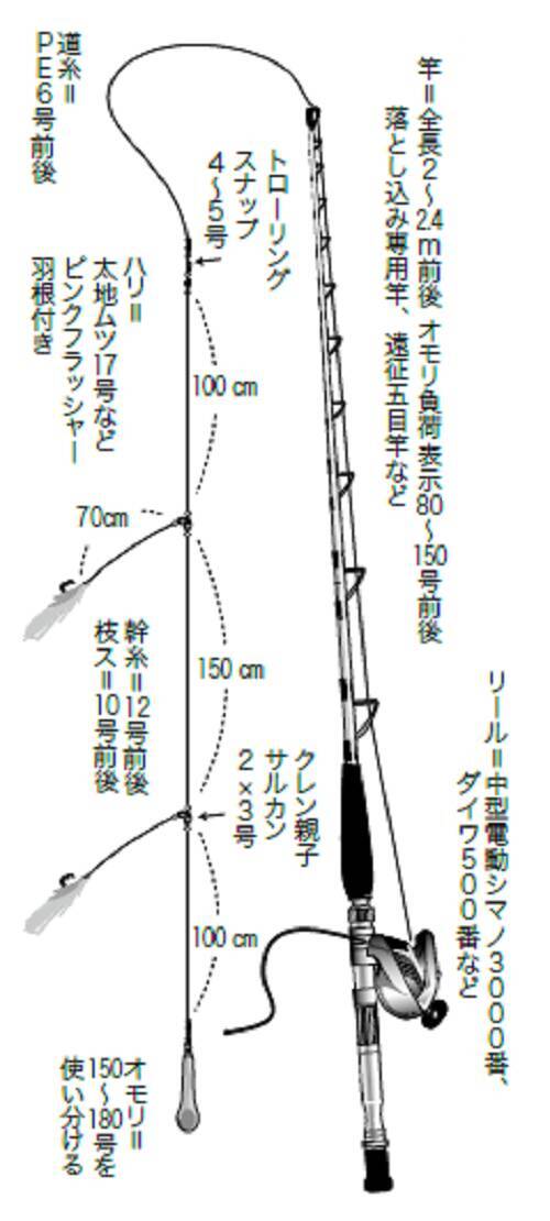 どこに行けば釣れる？泳がせ釣りのブリ (2021年12月16日) - エキサイトニュース(6/6)