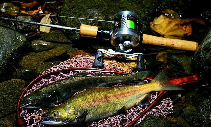 シルバークリーク ストリームトゥイッチャーに2022年追加モデル・51LB登場