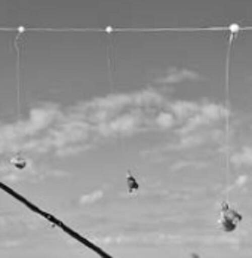 鈴木孝の安心カワハギ塾