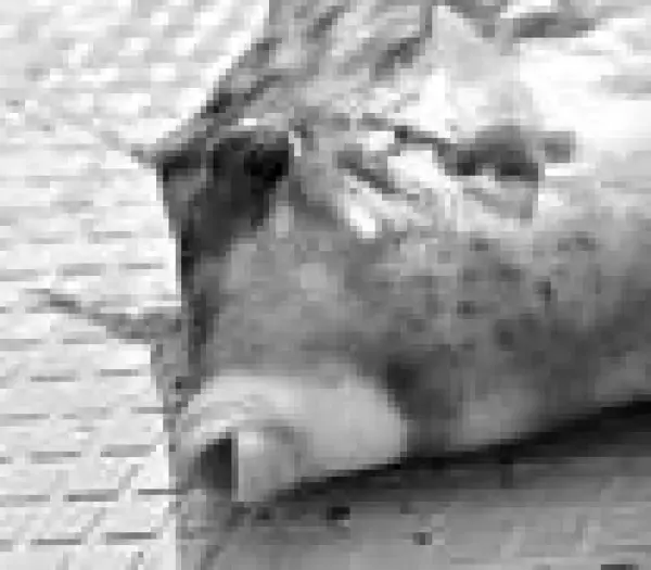 「鈴木孝の安心カワハギ塾」の画像