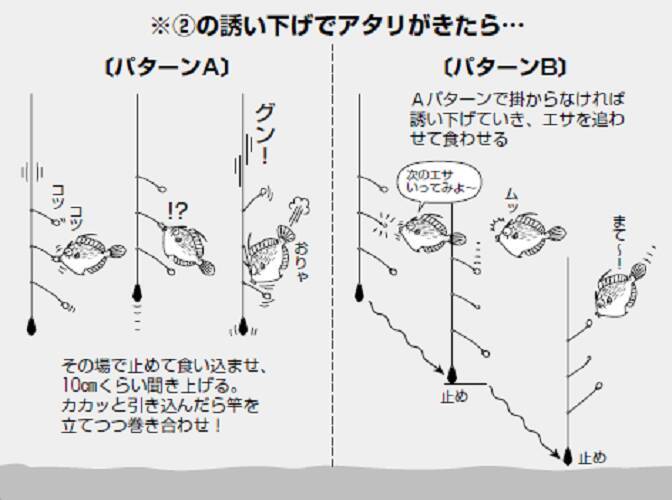 鈴木孝の安心カワハギ塾