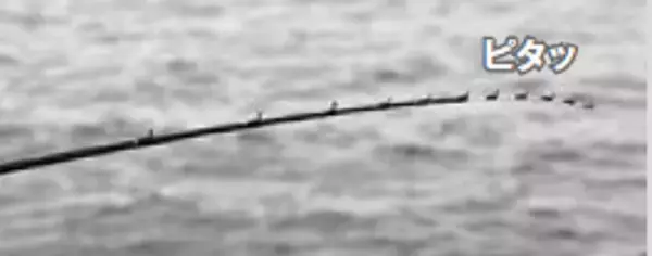 「鈴木孝の安心カワハギ塾」の画像