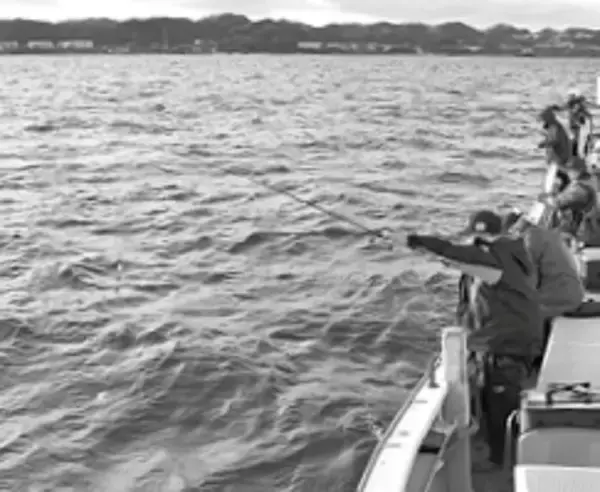 「鈴木孝の安心カワハギ塾」の画像